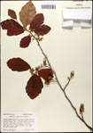 000058073-thumbnail.jpg