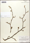 000058074-thumbnail.jpg