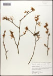 000058075-thumbnail.jpg