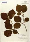 000058077-thumbnail.jpg