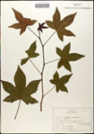 000058079-thumbnail.jpg