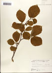 000058092-thumbnail.jpg