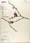 000058094-thumbnail.jpg