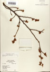 000058095-thumbnail.jpg