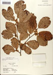 000058097-thumbnail.jpg