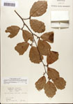 000058098-thumbnail.jpg