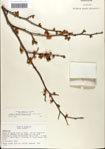 000058099-thumbnail.jpg