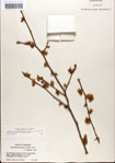 000058100-thumbnail.jpg