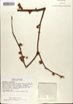 000058101-thumbnail.jpg