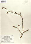 000058103-thumbnail.jpg