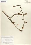000058104-thumbnail.jpg
