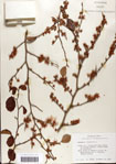 000058105-thumbnail.jpg