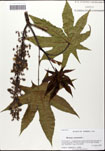 000058166-thumbnail.jpg