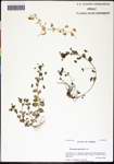 000058229-thumbnail.jpg