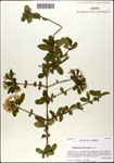 000058232-thumbnail.jpg