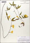 000058268-thumbnail.jpg