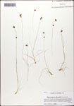 000058285-thumbnail.jpg