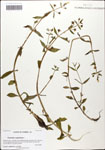 000058289-thumbnail.jpg