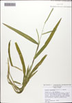000058292-thumbnail.jpg