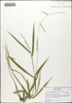 000058293-thumbnail.jpg