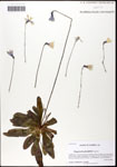000058302-thumbnail.jpg
