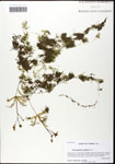 000058311-thumbnail.jpg