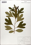 000058317-thumbnail.jpg