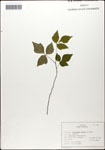 000058318-thumbnail.jpg