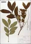 000058319-thumbnail.jpg