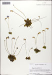 000058321-thumbnail.jpg