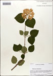 000058323-thumbnail.jpg