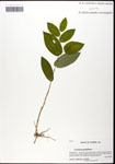 000058338-thumbnail.jpg