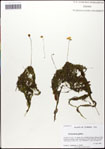 000058358-thumbnail.jpg