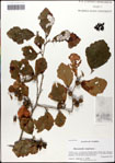 000058360-thumbnail.jpg
