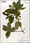 000058365-thumbnail.jpg