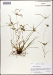 000058367-thumbnail.jpg