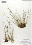 000058372-thumbnail.jpg
