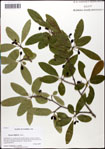 000058373-thumbnail.jpg