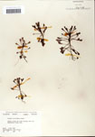 000058419-thumbnail.jpg