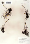 000058420-thumbnail.jpg