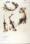 000058421-thumbnail.jpg