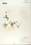 000058422-thumbnail.jpg
