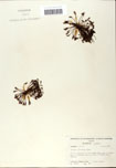 000058424-thumbnail.jpg