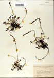 000058425-thumbnail.jpg