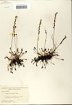 000058426-thumbnail.jpg