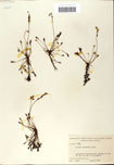 000058427-thumbnail.jpg