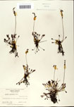 000058428-thumbnail.jpg