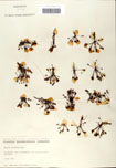 000058429-thumbnail.jpg