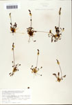 000058430-thumbnail.jpg