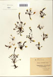 000058431-thumbnail.jpg